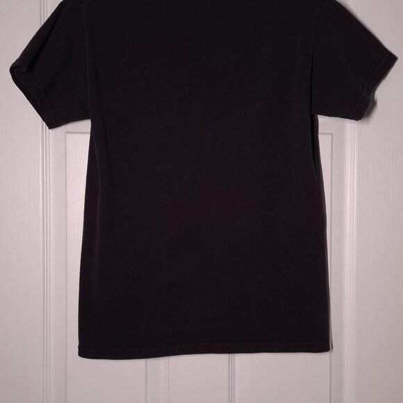 Alice In Chains Dirt USED Shirt (DISTRESSED, S, Black, Grunge, Rock, 2005, Y2K) - Picture 7 of 8